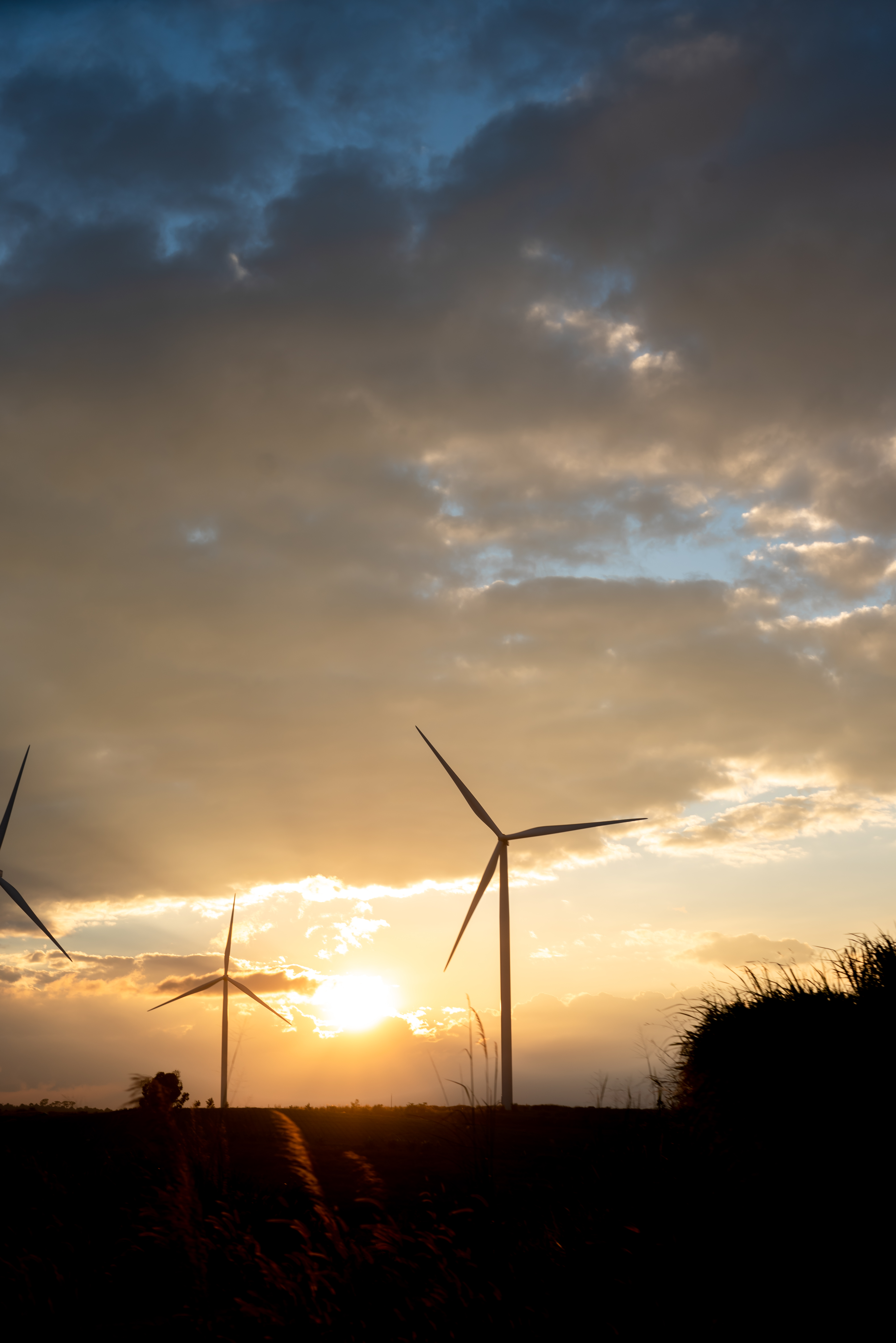 Turbinas eólicas en un campo al atardecer con nubes doradas y cielo azul oscuro.